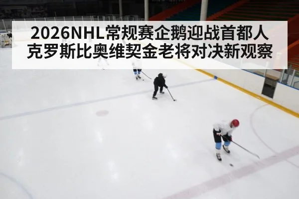 ice hockey game